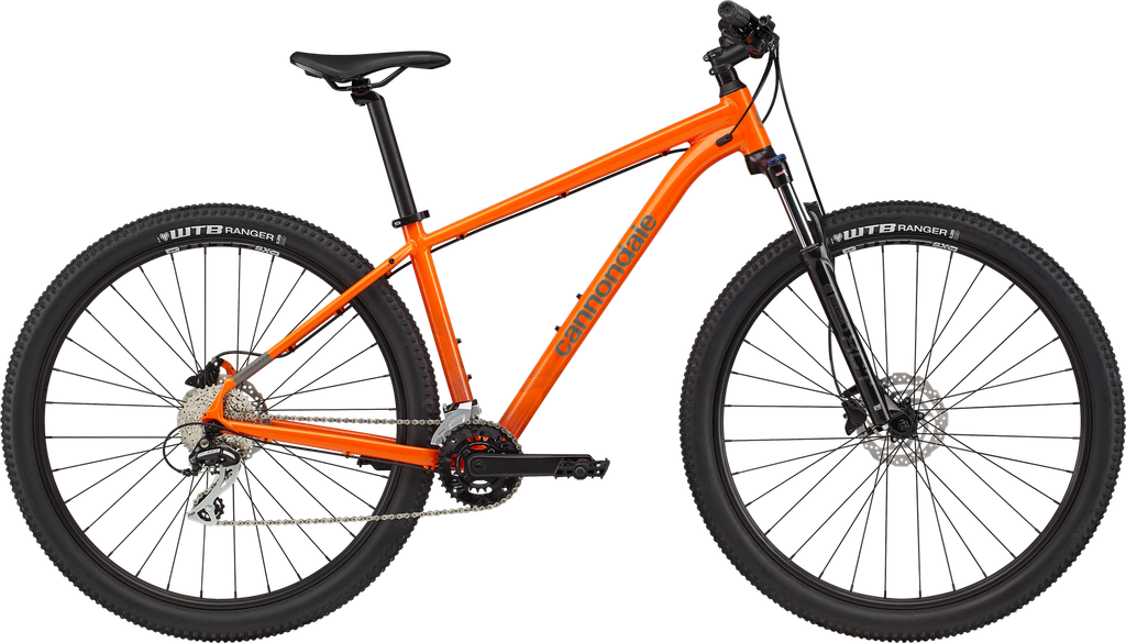 [C26601M20LG] Bike 29 M Trail 6 IOR LG